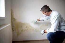 Mold Removal for HVAC Installations in Lemoyne, PA